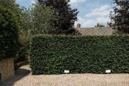 Two Rose Walk Cotswolds Holiday home